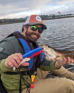 Caught Speckled Sea Trout - Big Bend.