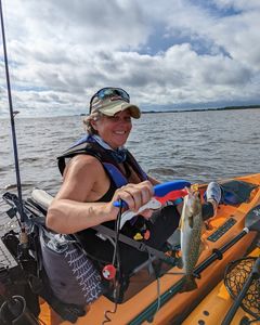 Kayak Fishing Charters, Trout