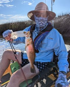 Fish-Species