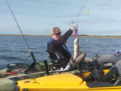 Guided Kayak Fishing Trips in Florida