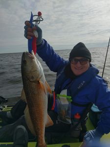 Big Redfish