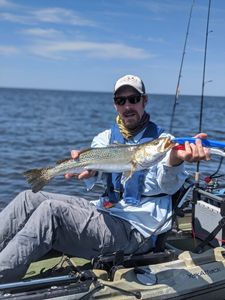 Fish-Species