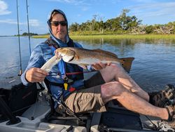 Redfish, 24-inch fish caught by person in Tallahassee