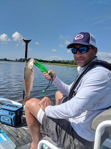 Redfish caught by angler in Tallahassee