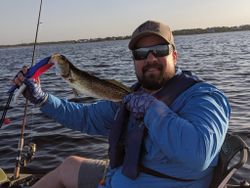 A spotted weakfish, a 10-inch fish, caught while fishing in FL