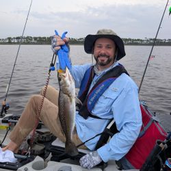 Spotted weakfish caught while fishing in Florida