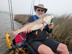 Angler holding large redfish caught while kayak fishing in Tallahassee FL
