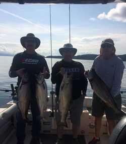 Four big fish caught in BC while fishing
