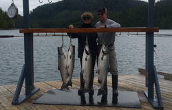 4 coho salmon caught while fishing in Zeballos