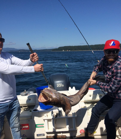 Fishing in BC