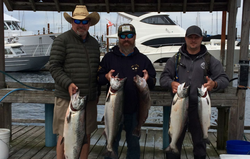 5 coho salmon, rainbow trout, and pink salmon caught in Zeballos, fishing