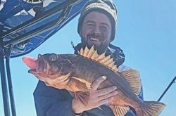 One angler fishing in CA