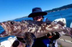 Angler with a big fish caught in CA