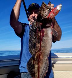 A single angler fishing in Santa Barbara