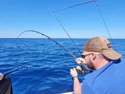 Fishing in California