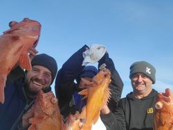 4 fishing rods with a great catch in Santa Barbara