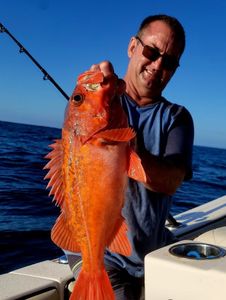 A fishing scene in Santa Barbara