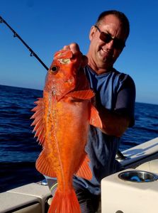 Fishing in the beautiful Santa Barbara