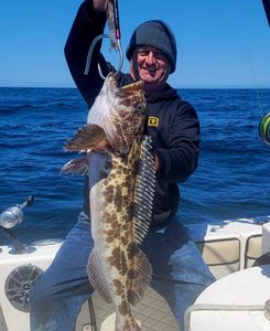 Lingcod caught while fishing in Santa Barbara