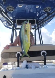 Great fishing moment in CA