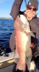 Angler holding a 25-inch fish in CA
