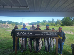 6 bluefish caught at Manistee