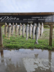 10 Chinook Salmon and Bluefish caught while fishing in MI