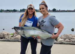 Chum salmon caught while fishing in Manistee