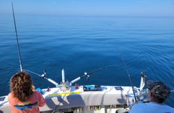 Fish On! Embark on Lake Michigan Adventures!