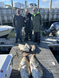 2 large fish caught by 3 people in Cape May