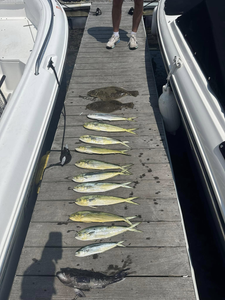 9 fish caught during a fishing trip in Cape May