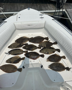 A photo showing 11 southern and summer flounder caught in New Jersey.