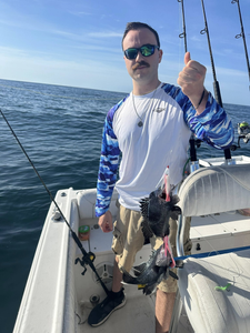 A single sea bass caught in NJ