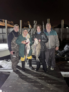 Two black drum fish caught in Cape May