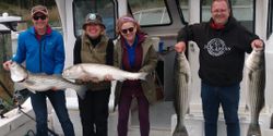 4 striped bass caught fishing in MD