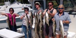 Anglers caught 7 striped bass in Neavitt