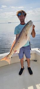 Fisherman holds a 31-inch catch in Neavitt