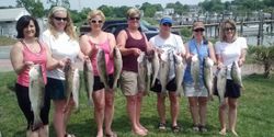 12 striped bass caught during fishing in Maryland