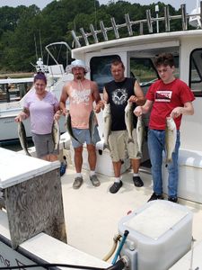 Seven striped bass caught by four people fishing in MD