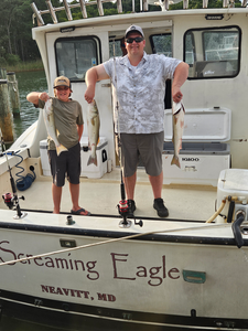 Great day on the water with these striped bass! Clear skies made for perfect fishing conditions.