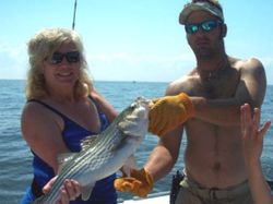 Striped bass caught while fishing in MD