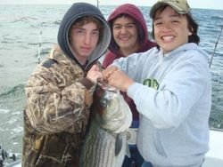 Striped bass caught while fishing in MD