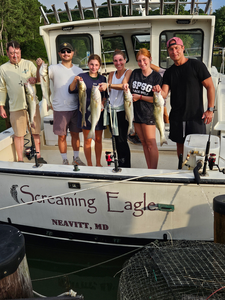 Blasted today with striped bass and white bass using light tackle trolling!