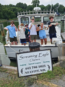 Nice striped bass from today's adventure in Neavitt! Partly cloudy skies made for exciting fishing conditions.