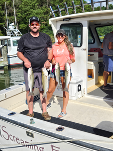 Blasted today with four striped bass using light tackle trolling in clear conditions!