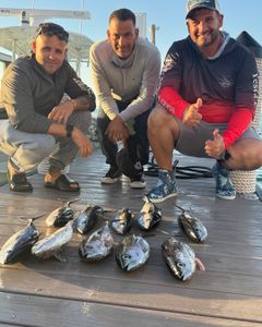 Three anglers fishing in FL