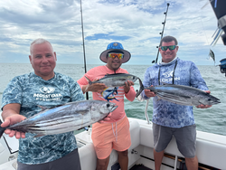 Fresh skipjack and blackfin tuna from Long Key waters!
