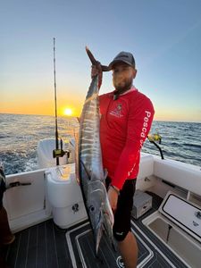Wahoo fish caught while fishing in FL
