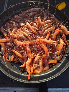 Person fishing in Port Renfrew
