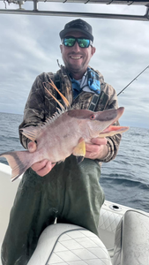Catch of the day: 18-inch hogfish in Florida